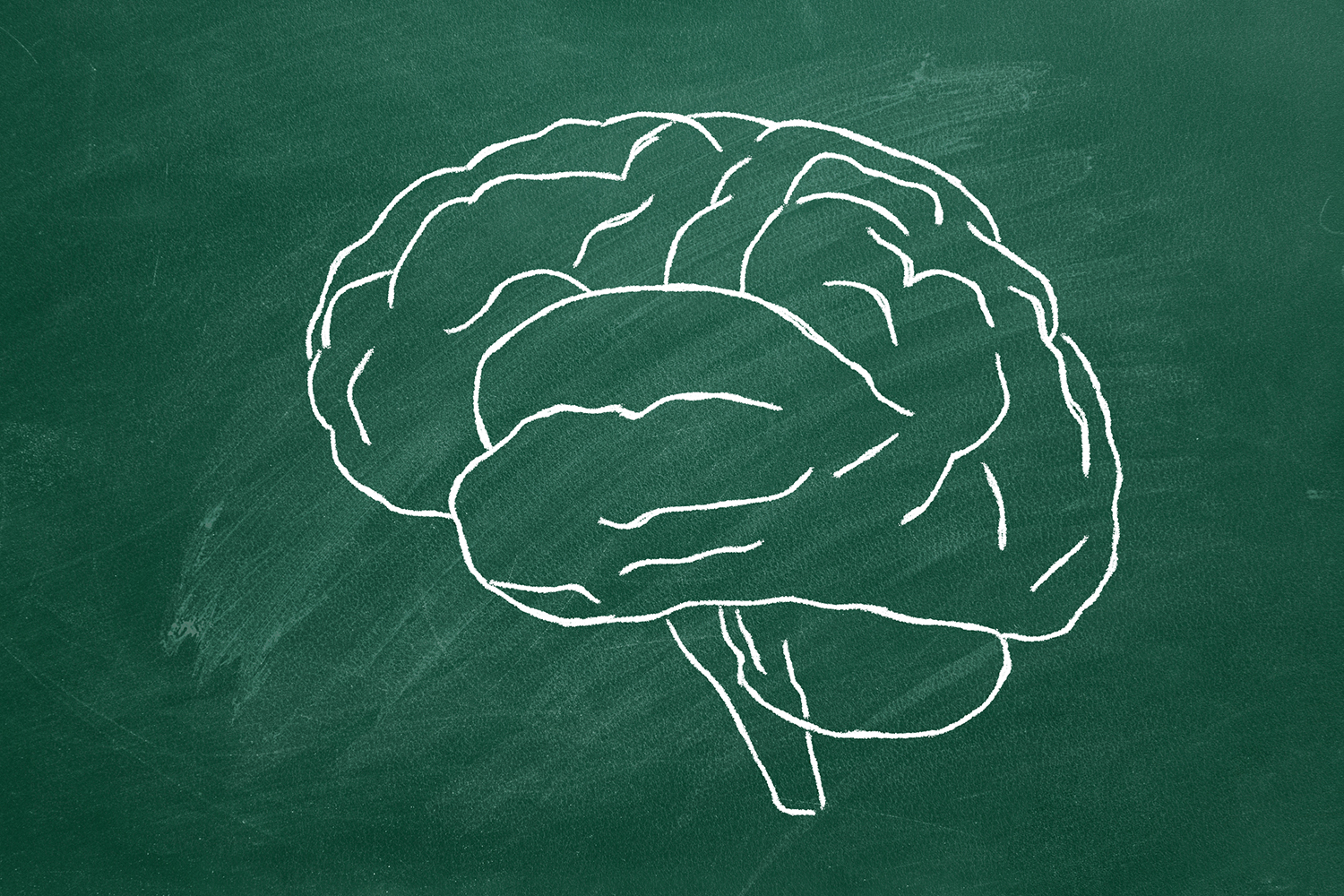 a drawing of a brain on a chalkboard