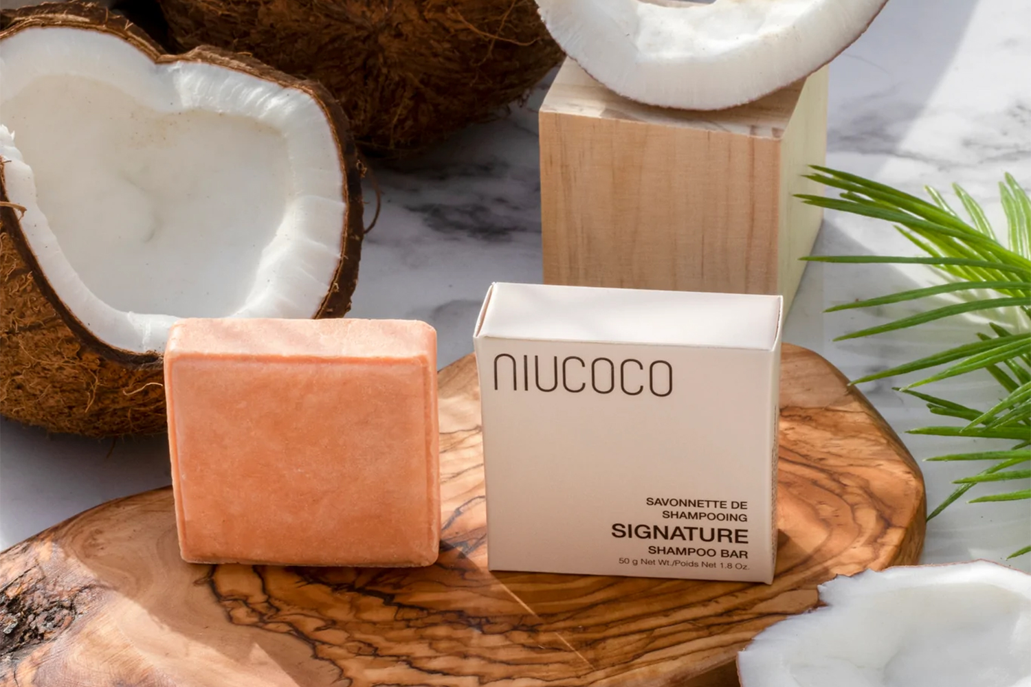 a shampoo bar surrounded by coconuts