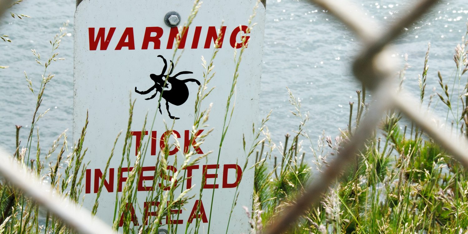A sign beyond a fence next to a body of water warning of a tick infested area.