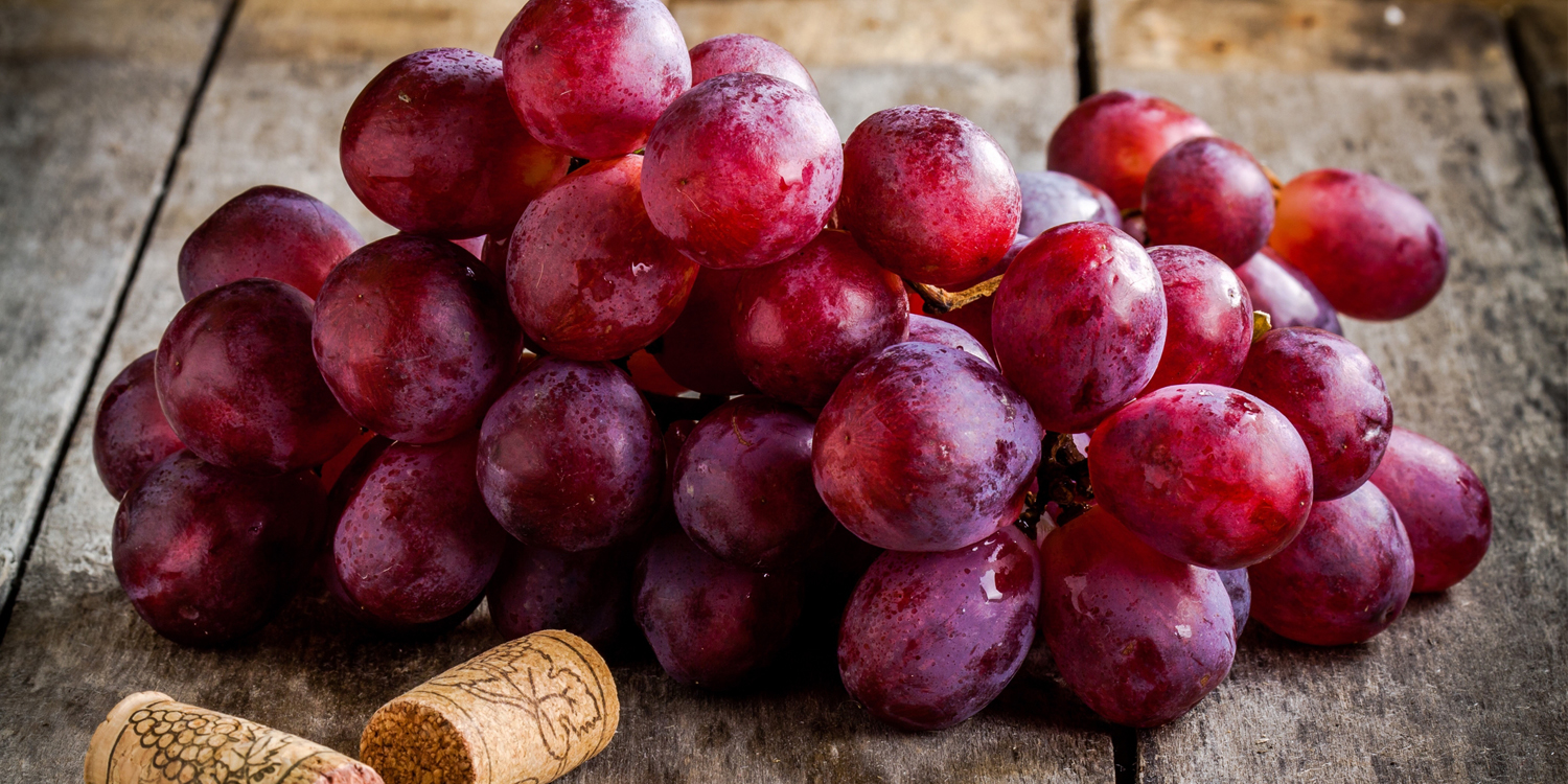 organic wine grapes and corks