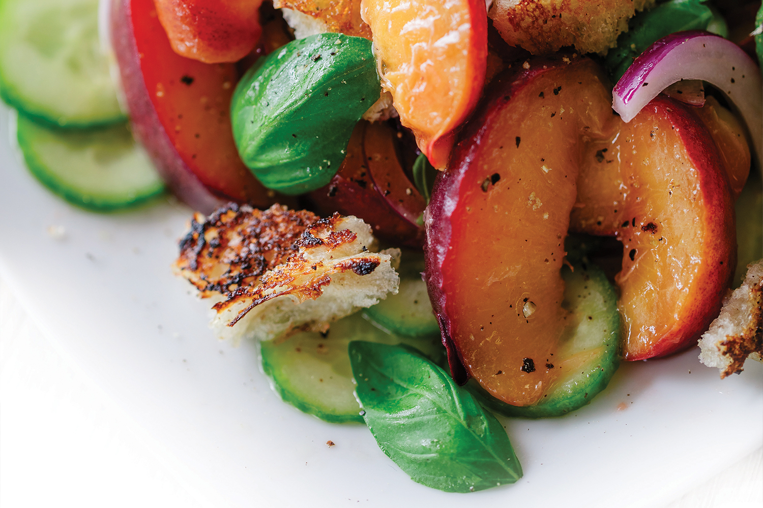 A close up image of Peach Panzanella on a white plate.