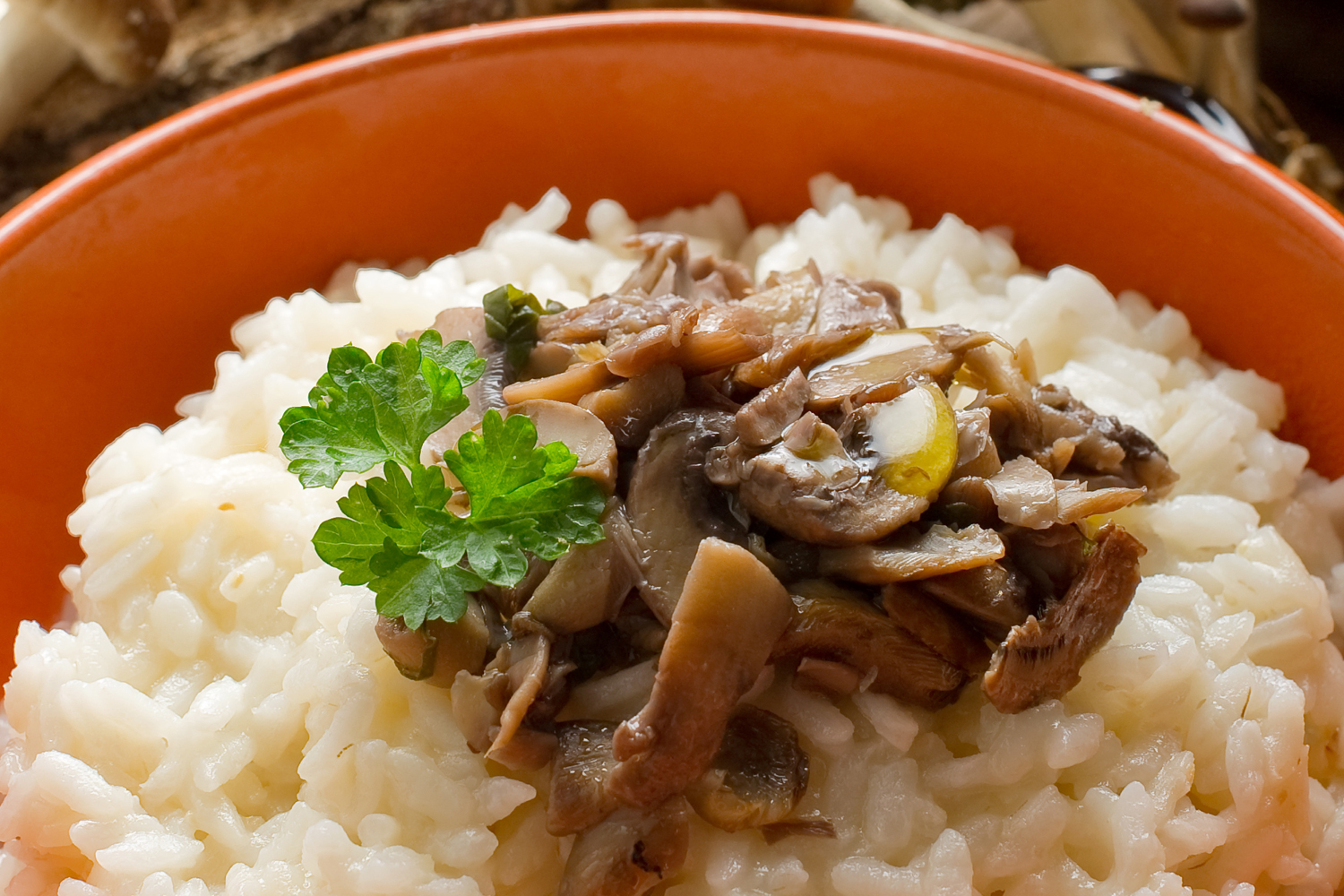 mushrooms on top of white rice