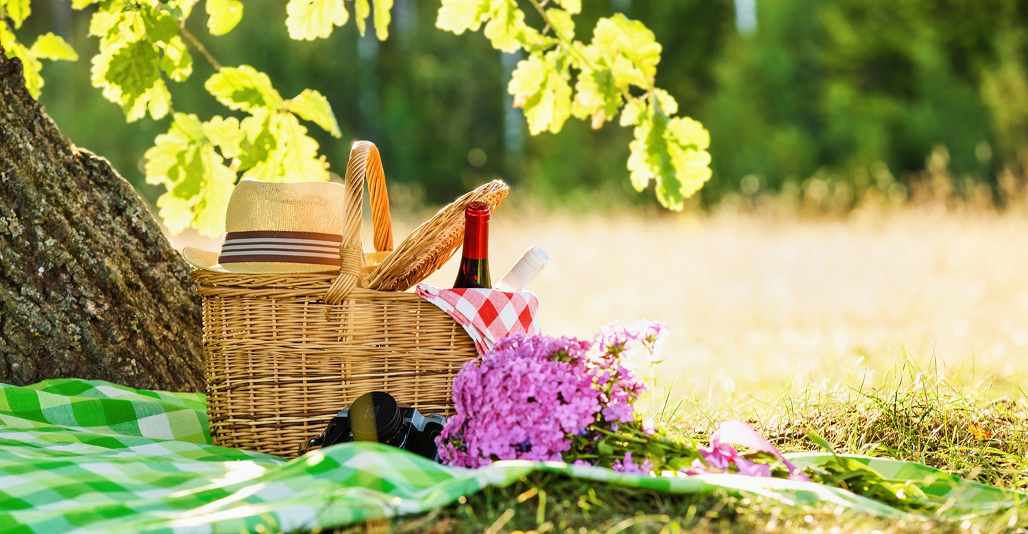 A picnic blanket, basket, camera and picked flowers under an oak tree.
