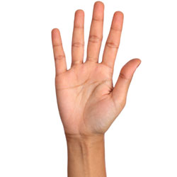 volunteer raised hand