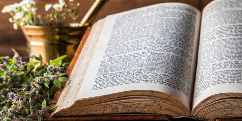 Ancient natural medicine, herbs and old herbal medicine book.