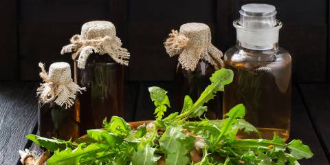 Dandelion leaves and roots with bottles of digestive bitters in the background.
