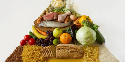 Food pyramid