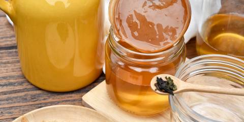 Hand holding tea kombucha SCOBY with kombucha tea.