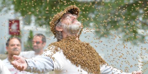 Paul Stamets being swarmed by bees