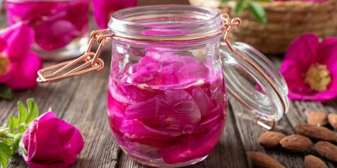 Rose petals macerating in almond oil, to prepare a homemade skin moisturizer.
