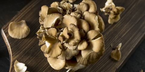 maitake mushroom on a cutting board