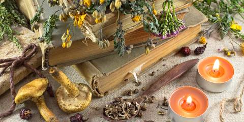 medicinal mushrooms and healing herbs