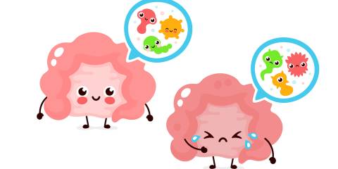 cartoons of a happy intestine and a sad one