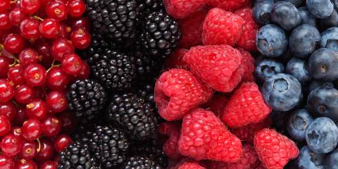 Assortment of berries