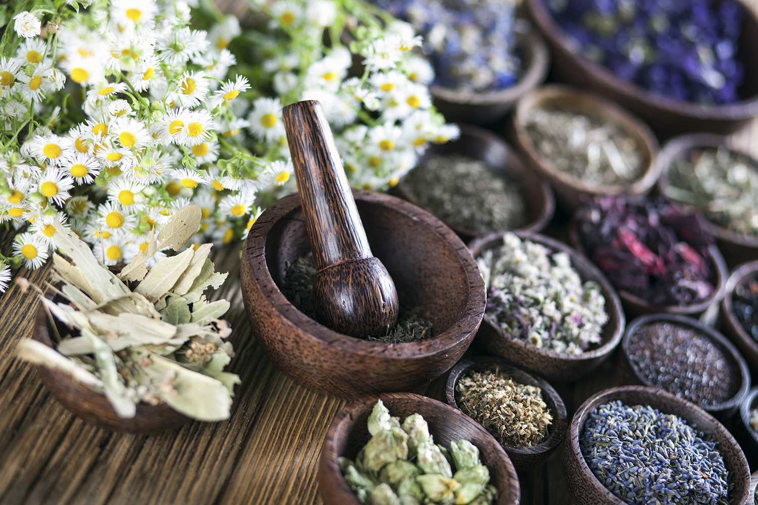 Small wooden bowls filled with dried Chinese herbal remedies.