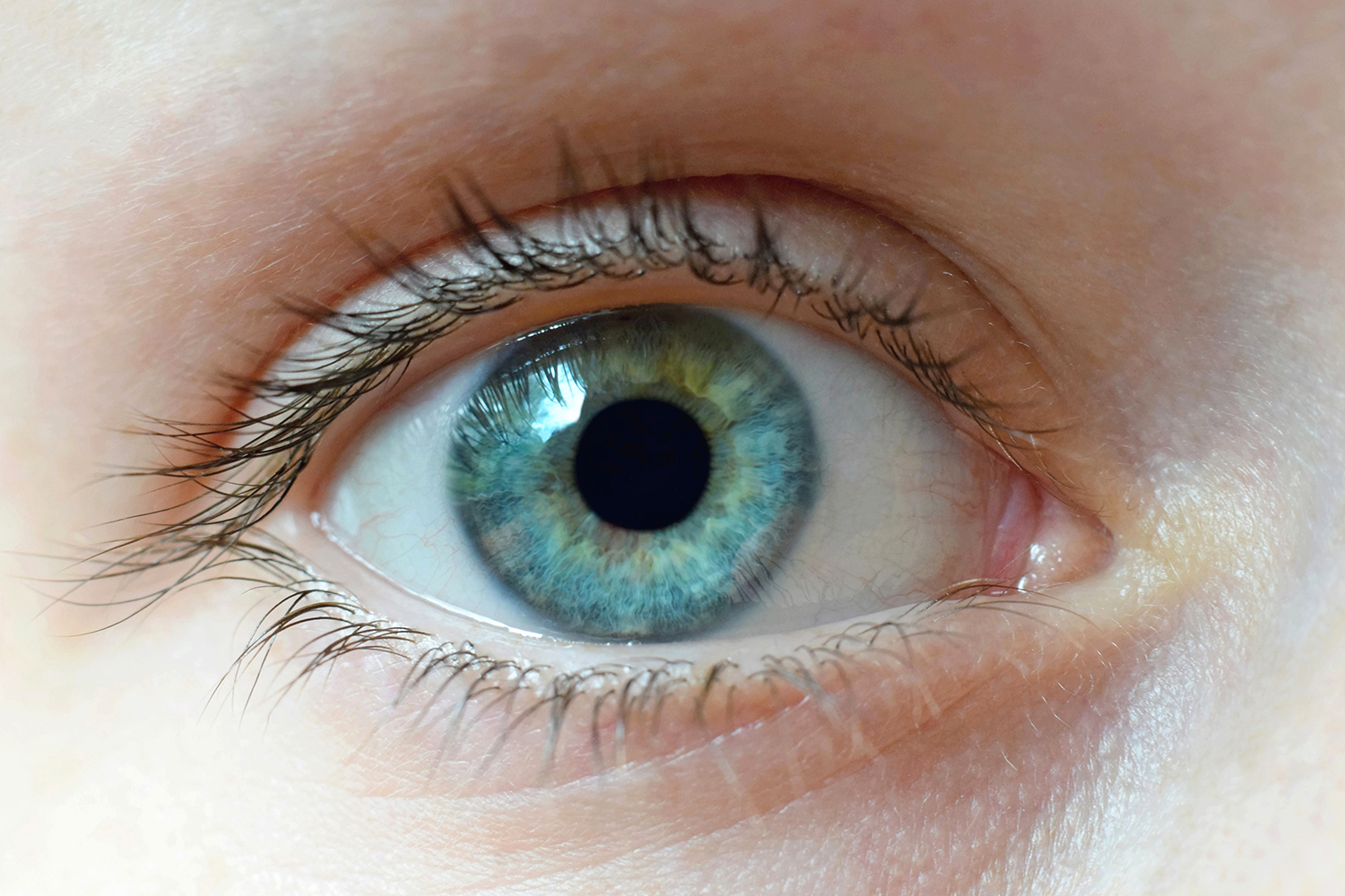 a close-up of a young, healthy eye