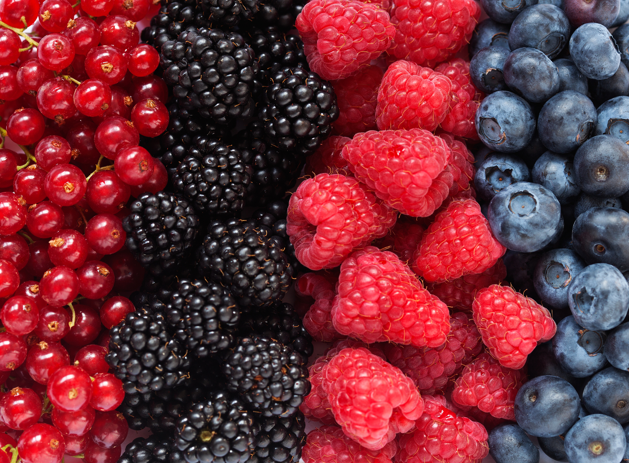 Assortment of berries