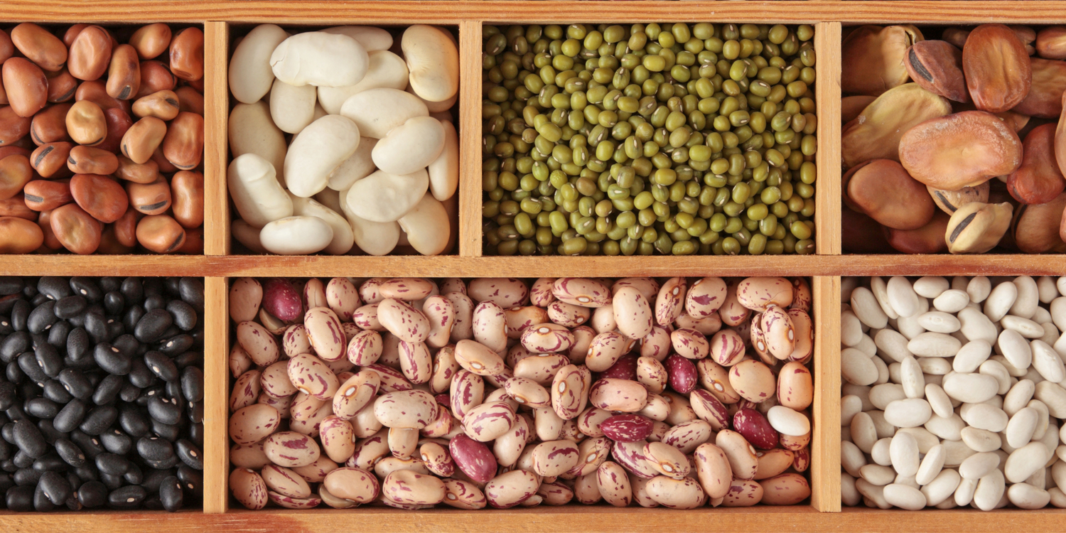 Different types of beans